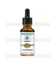 CORDYCEPS SINENSIS MUSHROOM High Potency 20x LIQUID TINCTURE 2 ounces  