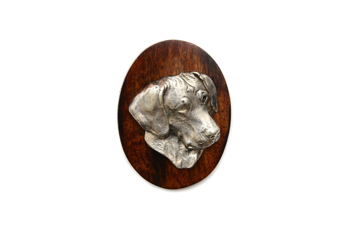 Rhodesian Ridgeback, African Lionhound, African Lion Dog Dog