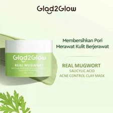 GLAD2GLOW Mugwort Salicylic Acid Anti-Aging Acne Redness Pores Dull Skin 30g