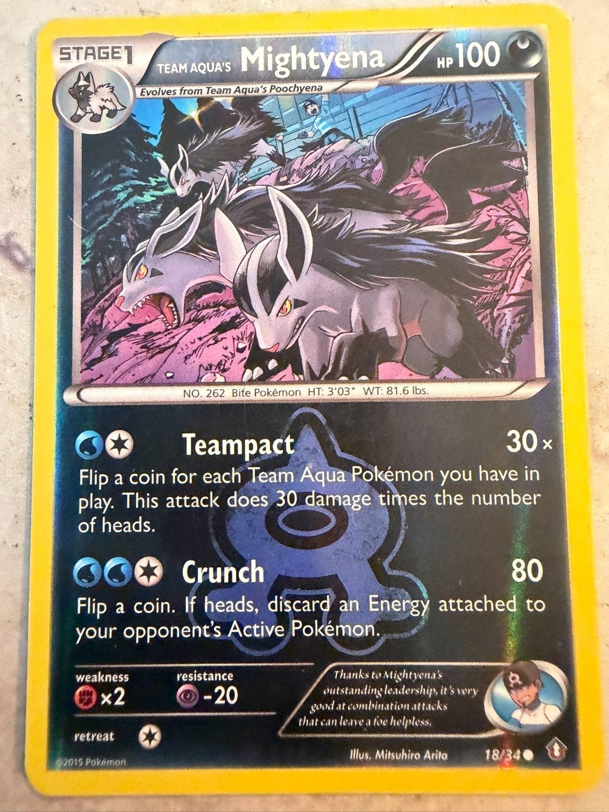 Team Aqua's Mightyena 18/34 Double Crisis Reverse Holo Pokemon Card MP