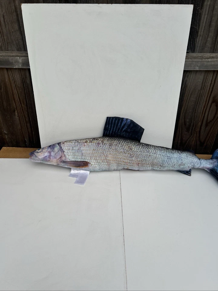 Meradiso stuffed Fish 🐟 Shaped Cushion Decorative Pillows Man Cave. - Image 2 of 4