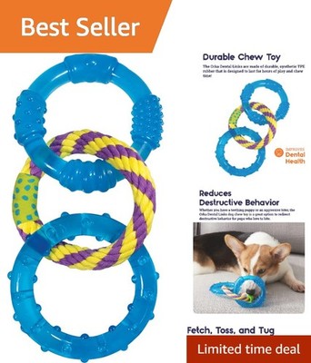 ORKA Dental Links Chew Toy   Engaging Play for Puppies & Strong Chewers, 1 Count