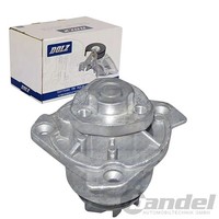 Dolz Wasserpumpe KÜHlmittelpumpe Passend FüR Seat Toledo VW Bora Golf NEW Passat