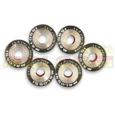 MALOSSI Satz Variomatrollen 19x17mm 12gr - 6-teilig HEXAGON MEDLEY 2T (EXS1T) 2T