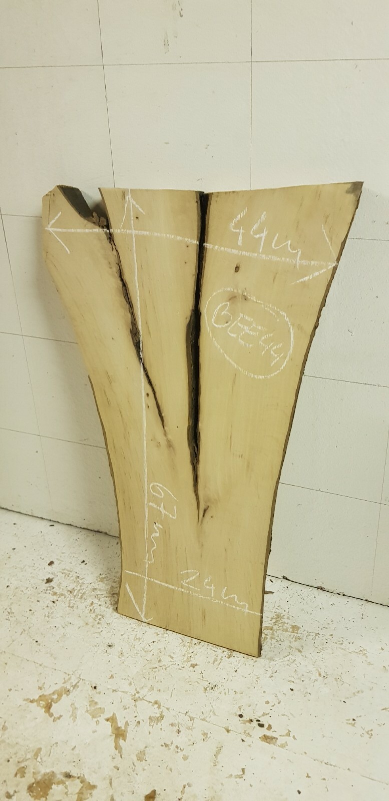 Bild 46 von 219