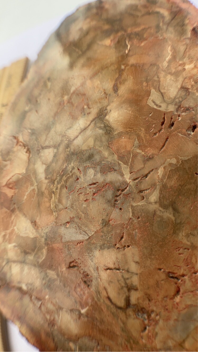 Foto 11 di 14