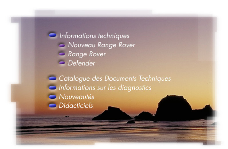 Interface diagnostic EAS Range Rover P38 câble cuivre blindé haute précision