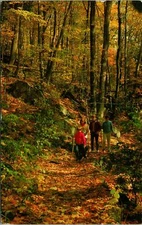 Shenandoah Ntl Park VA Fall Foliage Postcard Used (31332)