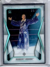 2020 Topps WWE Transcendent Collection ROBERT ROODE #37 Silver Framed 26/50
