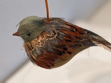 Vintage Box of 12 Robbins w/Beautiful Real Feathers by Birds of the World NWOT