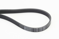 Continental Ctam Keilrippenriemen (5PK1334) FüR Opel Corsa E D Astra J