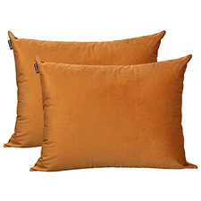  Fall Winter Velvet Pillowcases Set of 2 Pillow Cases with Zipper Closure 