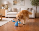 Smart Motion-Activated Dog Toy Ball with Rope - 3 Play Modes, USB Rechargeable
