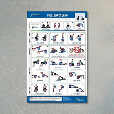 Stability Ball Excerise Chart GYM Workout Poster Wall Art Print 36x24