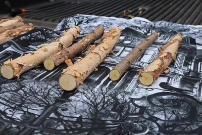 20 Yellow Birch mini logs 14 inches long