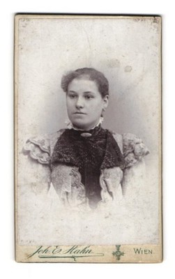 Fotografie Joh. E. Hahn, Wien, Mariahilferstr. 105, Junge Dame im Kleid mit Kra 