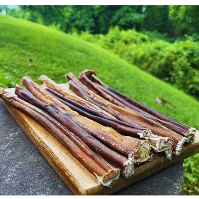12-Inch Thick Bully Sticks  Pack of 10   Dental Treat for Aggressive Chewers