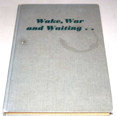 Meaning Of Waiting On A War By Foo Fighters