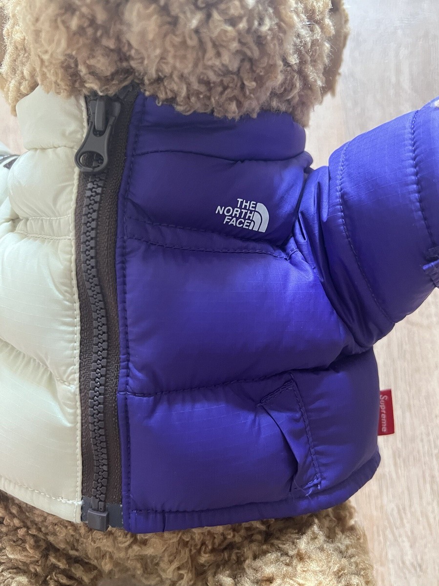 Supreme The North Face Bear- Tan | eBay