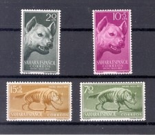 SAHARA SPAIN 1957 Striped Hyena Animals (Fauna) Mammals - MNH