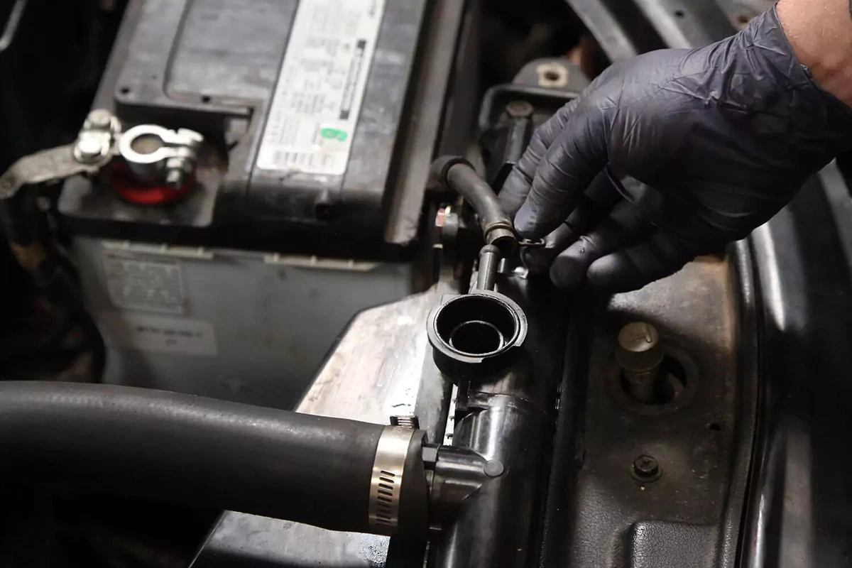 Reconnecting the expansion tank hose.