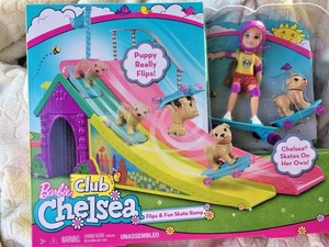 chelsea flips and fun skate ramp