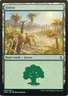 Forest - L269/269 - MTG - Amonkhet (AKH)