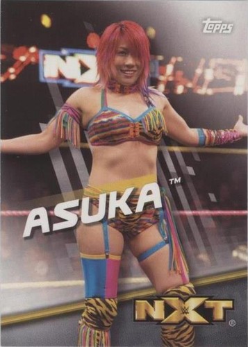 2015 Kana(Asuka) DVD Manifesto Manifest Final WWE DIVA Woman