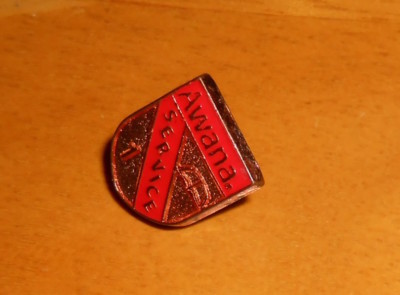 AWANA 1 Year Pin Charm Gold Tone ½ x ½ Christian (red) | eBay