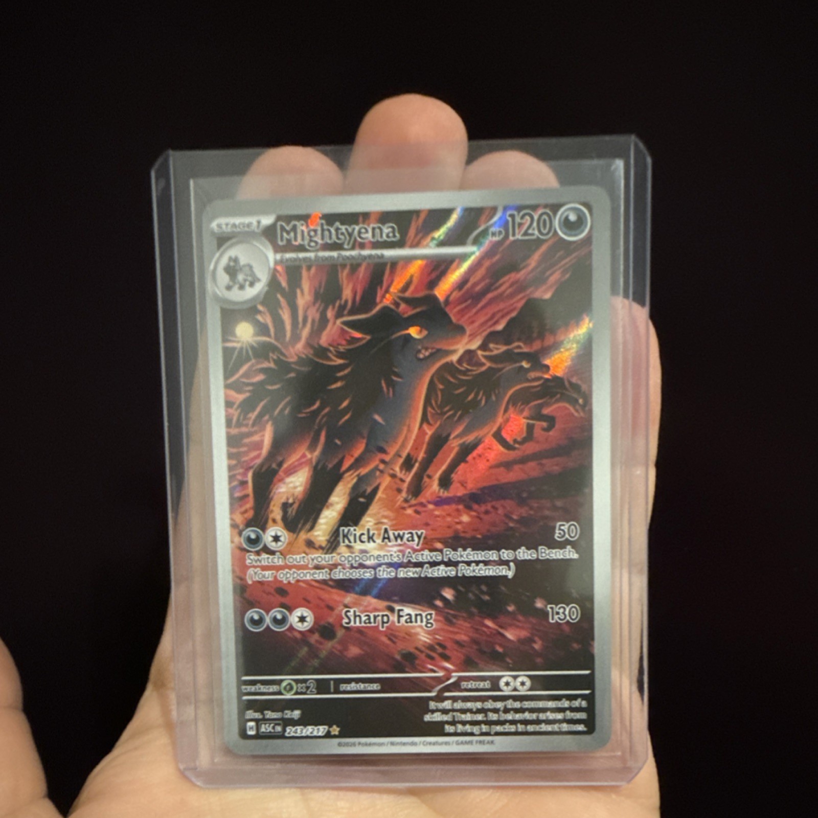 Pokémon Mightyena ASC 243/247 Holo Card Stage 1 Wolf HP 120 English