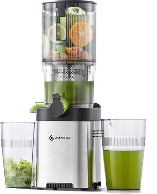 Cold press Juicer Machines with 5.4'' Extra Self-Feeding for Whole Veggie Fruit