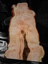 XXL CURLY BIRDSEYE MAPLE BURL Wood Blank Turning Wood, Live Edge Maple Burl Wood