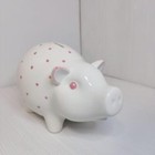 Foto 6 di 20