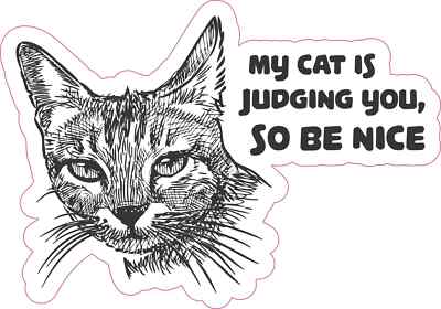 StickerTalk My Cat Is Judging You So Be Nice Vinyl Sticker, 5 inches x 3.5 in...