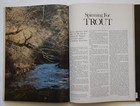 SPORTS AFIELD MAGAZINE - MARCH 1982 - Foxes — photo 7