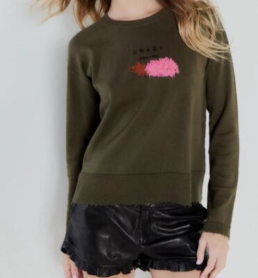 $250 Lisa Todd Women's Green Crazy Like a Fox Embroidered Sweater Size XL