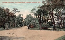 Daytona FL Florida 1910s Downtown Volusia Ave Avenue Mansion Vtg Postcard P9