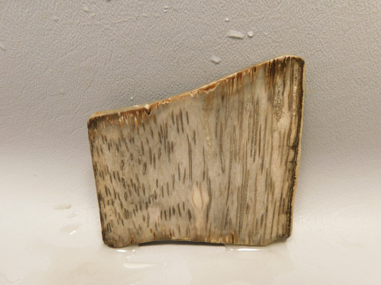 Picture 1 of 6