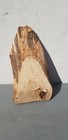 Bild 123 von 219