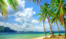 10x8ft Vinyl Photo Background Studio Backdrop Blue Sky Cloud Sunny Beach Palm LB