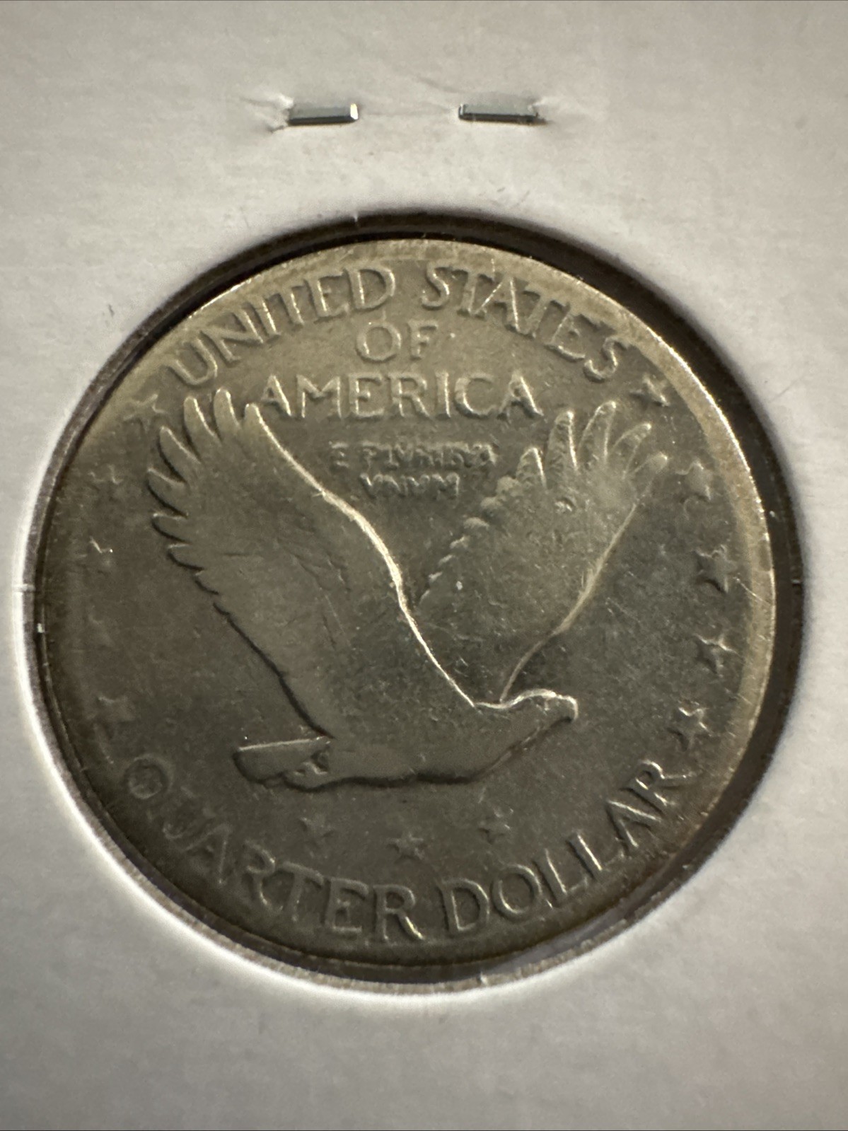 Picture 5 of 5