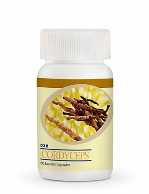 3 Bottles DXN Cordyceps 60 Capsules Cordyceps Sinensis Immunity Stamina Booster