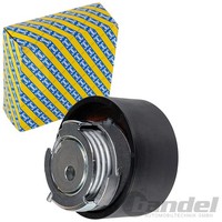 SNR Spannrolle Zahnriemen Passend FüR CitroËN C5 C6 Jaguar S-TYPE XF XJ Land