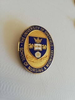 Vintage University Of Sheffield School Of Nursing Midwifery Enamel Brooch Badge