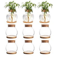 PLANT PROPAGATION STATION HYDROPONIC GLASS CONTAINER VASE JARS WITH WOODEN