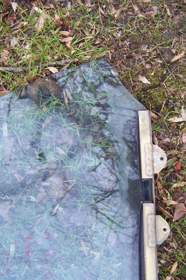 cristal trasero mercedes propietarios 250 c 280c 1971 1970 1969 1972 1973 1974 1975 usado Foto 4 de 4