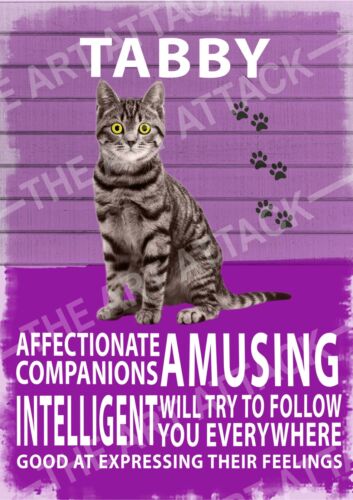 Tabby cat personality mancave/shed (artist impression) metal wall sign - Picture 1 of 1