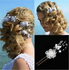 Haarnadeln Haarschmuck Brautschmuck Hochzeit Braut Kommunion Tiara Blume Perlen
