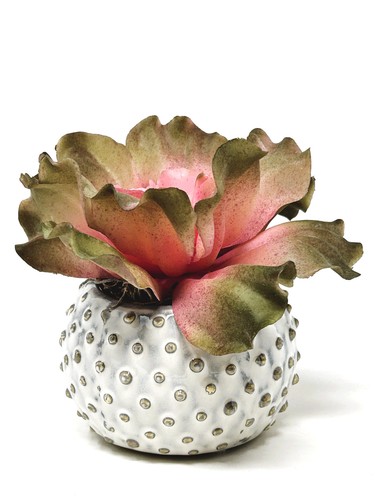 5" Artificial Soft PINK & Taupe Curly Echeveria SUCCULENT, 3" Ceramic White Dott - Picture 3 of 4