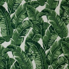 Sunbrella  Indoor / Outdoor Upholstery Fabric - Tropics Jungle 145214-0000